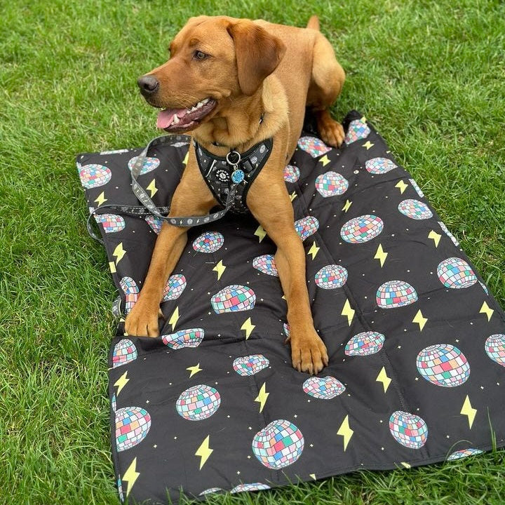 Settle Mat - Paw-struck