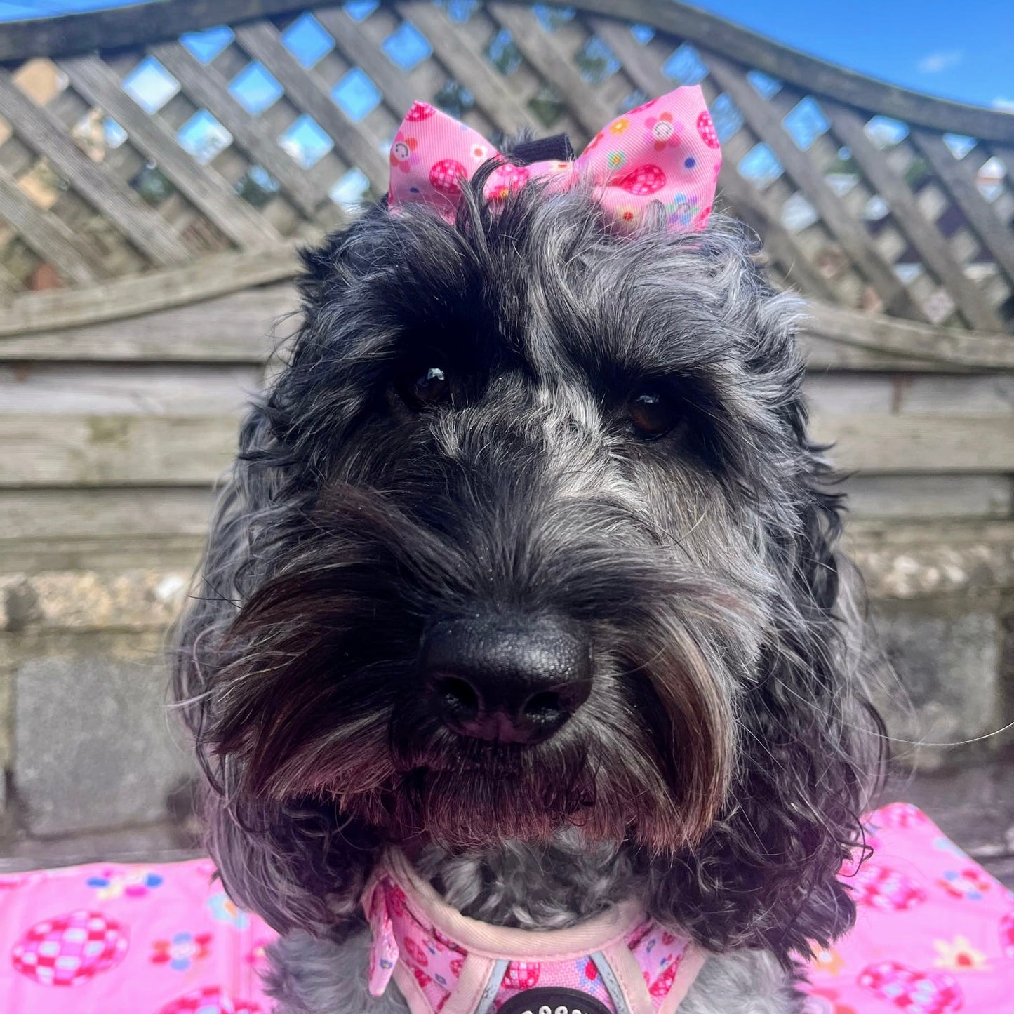 Bow Tie - Peace, Love & Disco