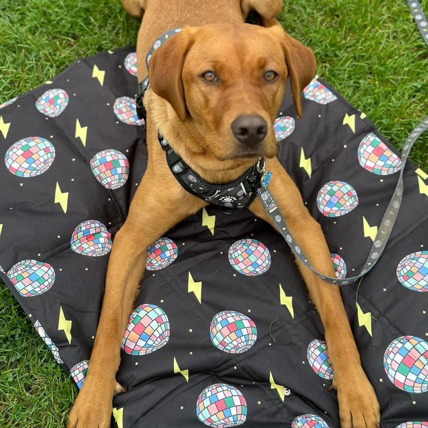 Settle Mat - Paw-struck