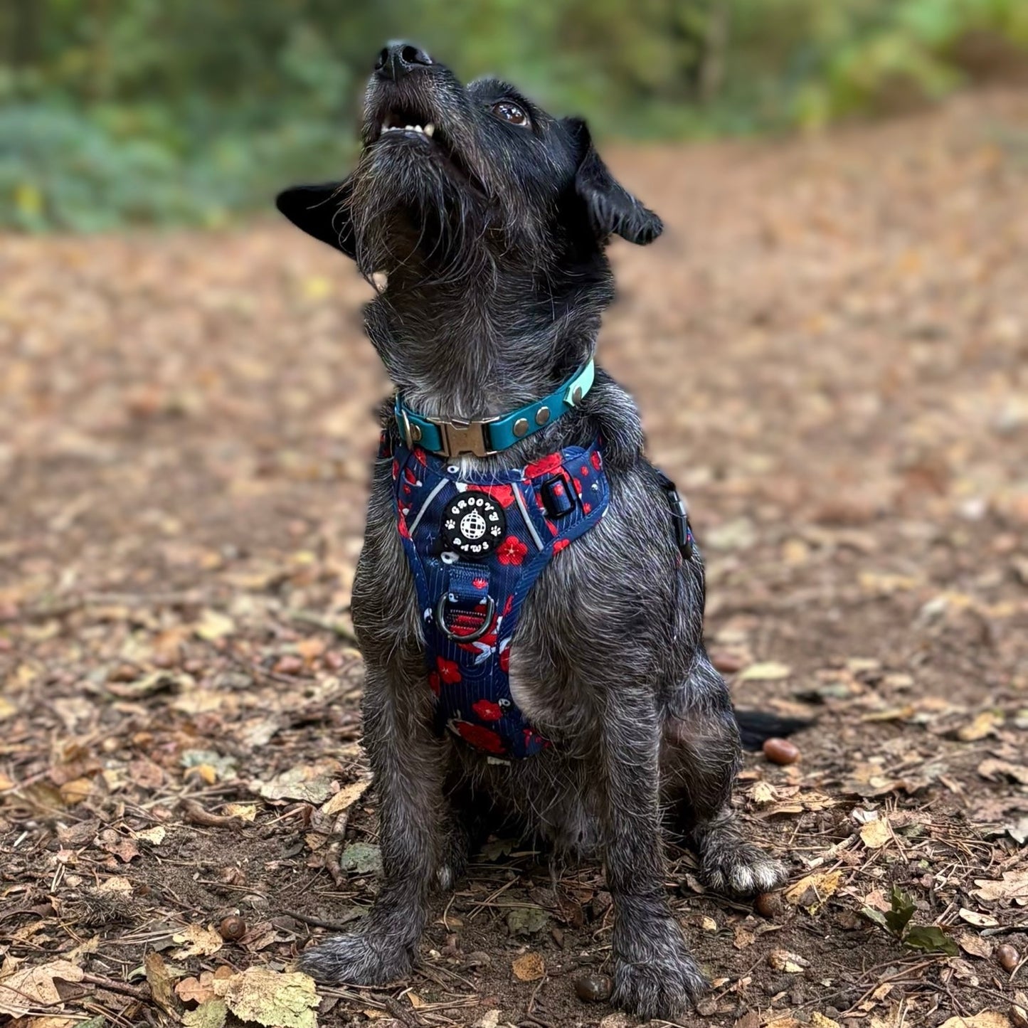 Grip & Groove Harness - Tails of Yin & Yang