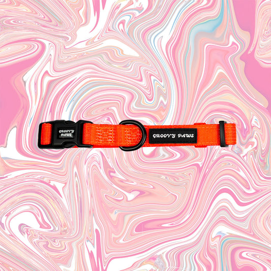 Collar - Psychedelic Pooch