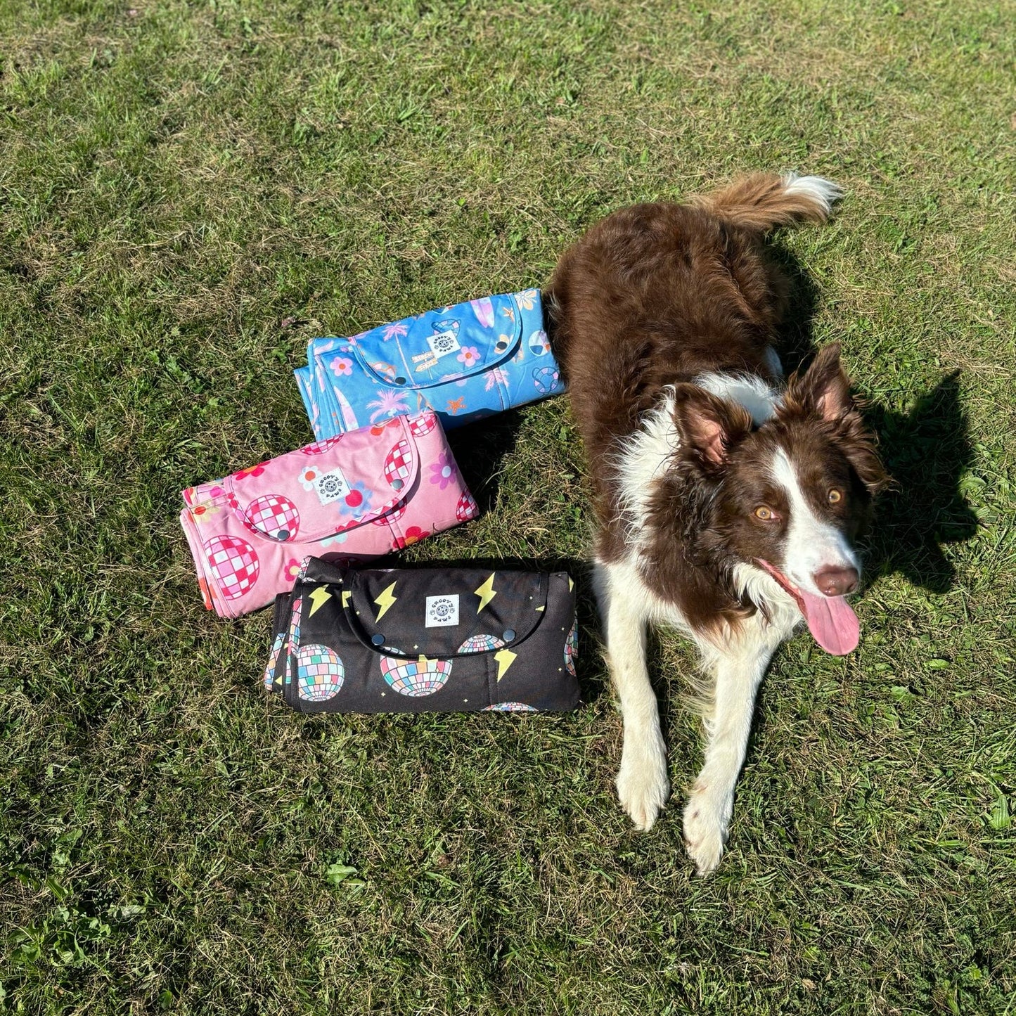 Settle Mat - Paw-struck