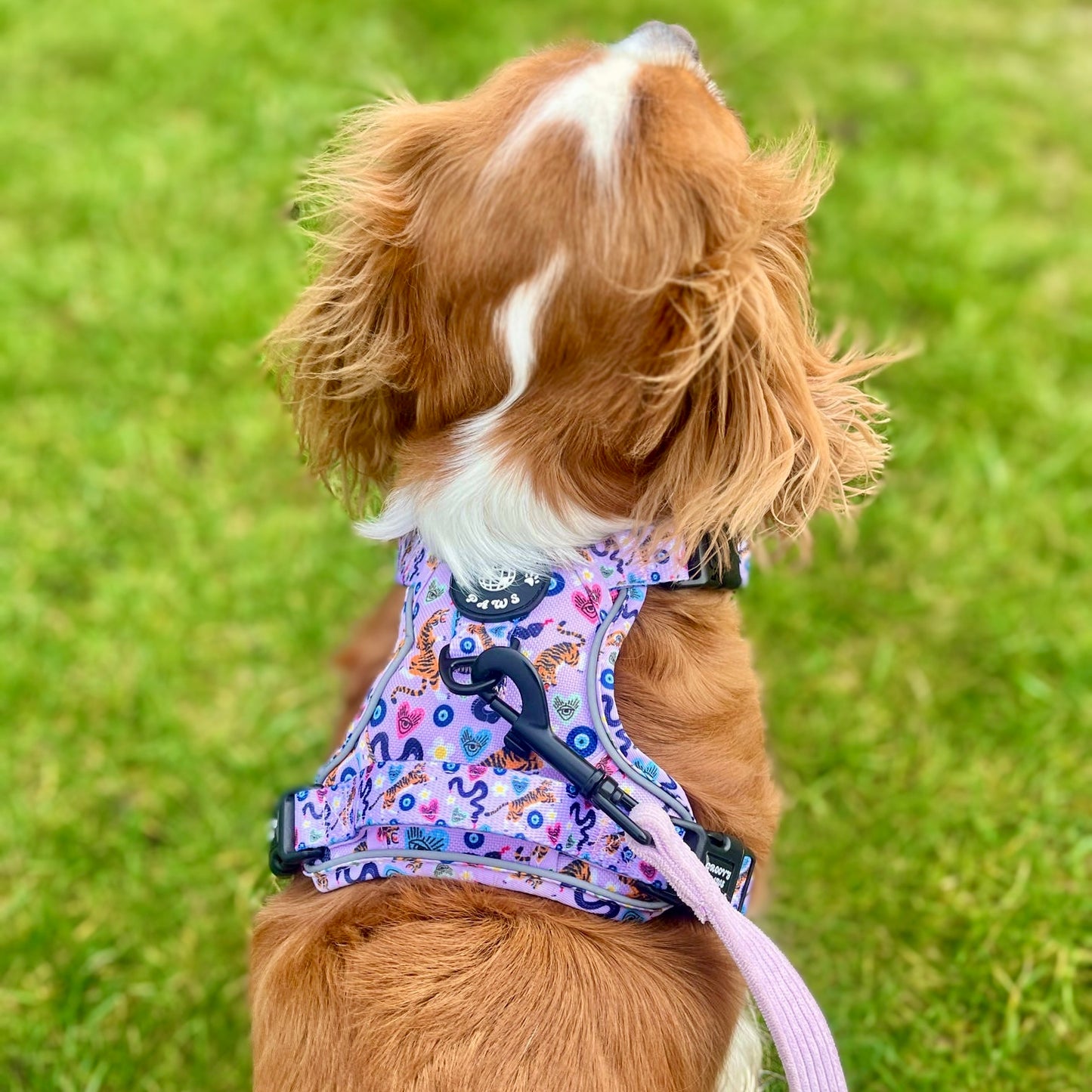 Grip & Groove Harness - Jungle Boogie