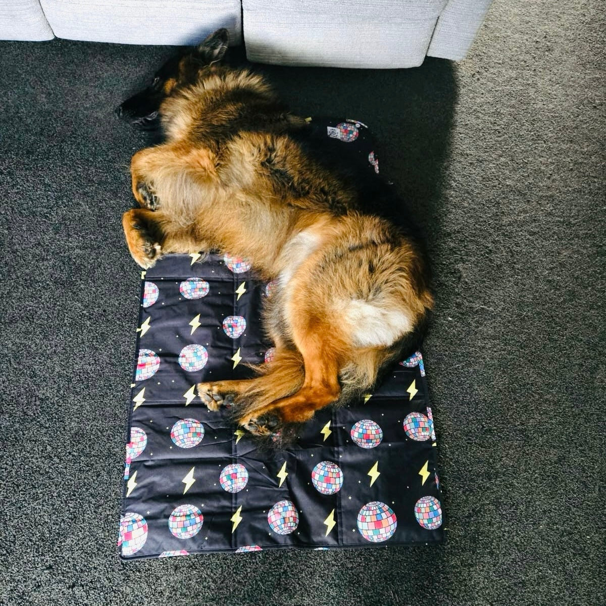 Settle Mat - Paw-struck