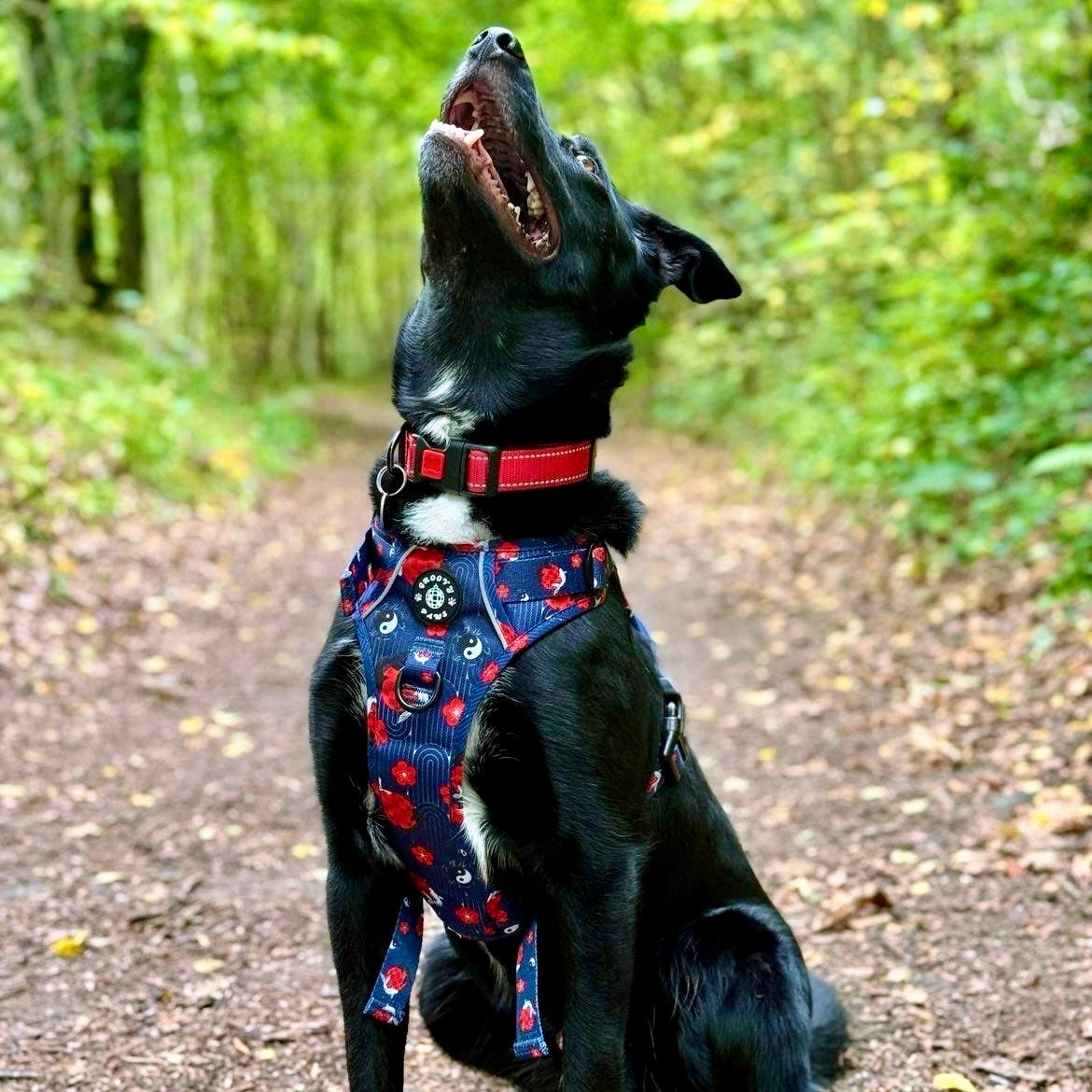 Grip & Groove Harness - Tails of Yin & Yang