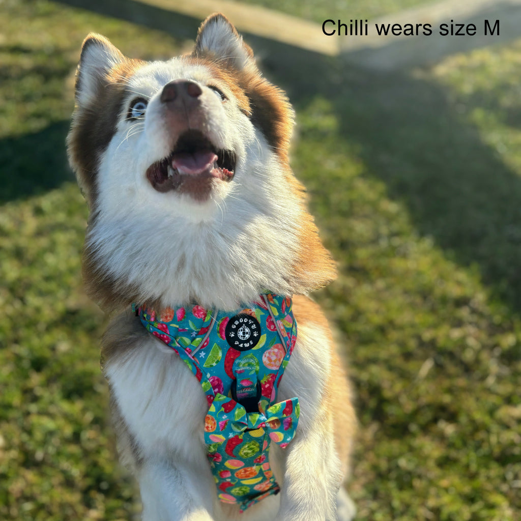 Grip & Groove Harness - Funkin' Fruit