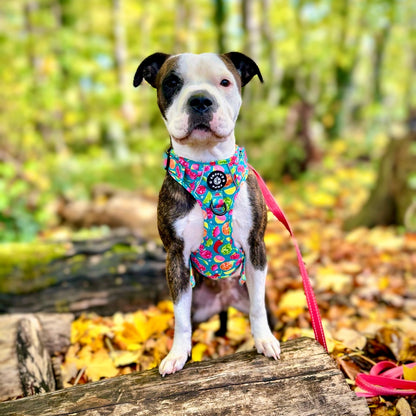 Grip & Groove Harness - Funkin' Fruit