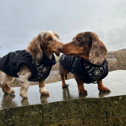 Grip & Groove Harness - Paw-Struck