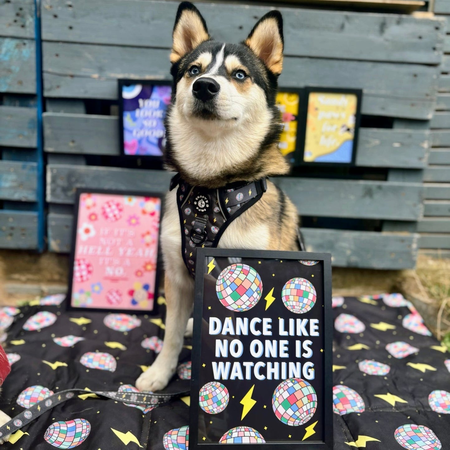 Dance Like No One is Watching - Wall Print