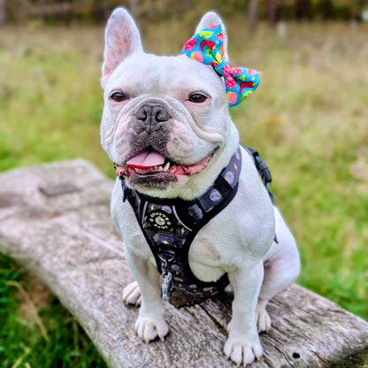 Bow Tie - Funkin' Fruit