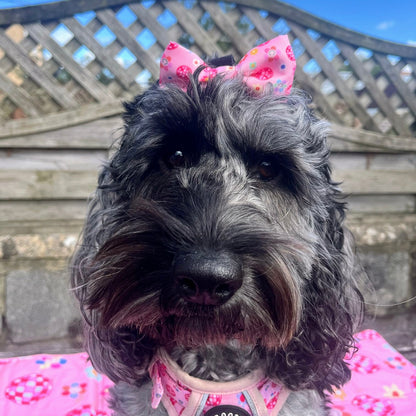 Bow Tie - Peace, Love & Disco