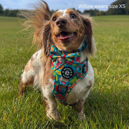 Grip & Groove Harness - Funkin' Fruit