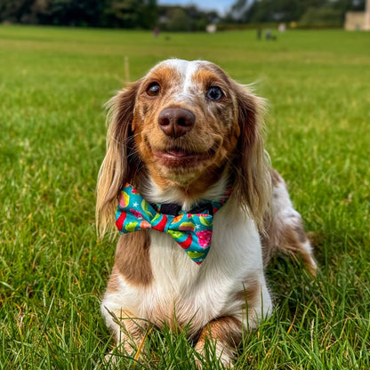 Bow Tie - Funkin' Fruit