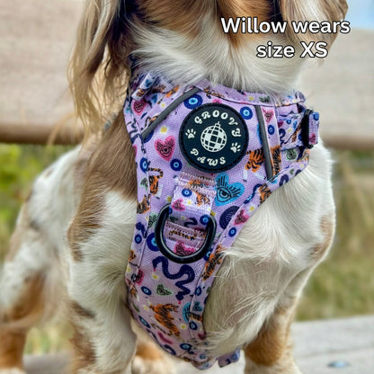 Willow wears a size XS
