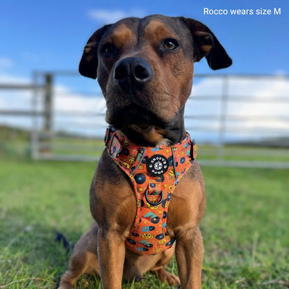 Grip & Groove Harness - Barkin' Beats