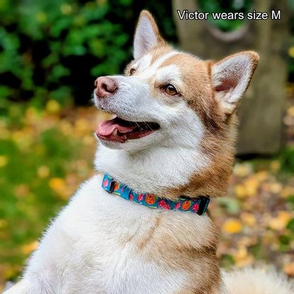 Collar - Funkin' Fruit