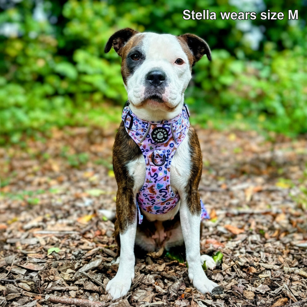 Grip & Groove Harness - Jungle Boogie