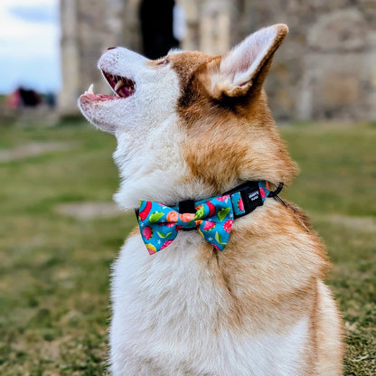 Bow Tie - Funkin' Fruit