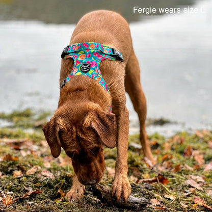 Grip & Groove Harness - Funkin' Fruit