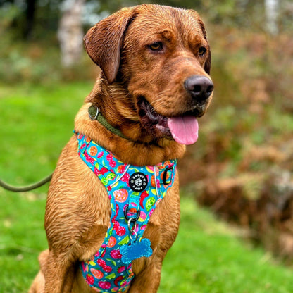 Grip & Groove Harness - Funkin' Fruit