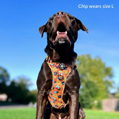 Grip & Groove Harness - Barkin' Beats