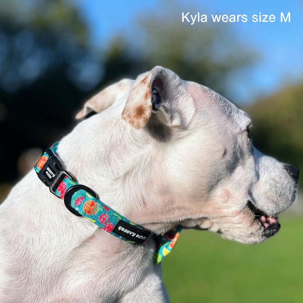 Collar - Funkin' Fruit