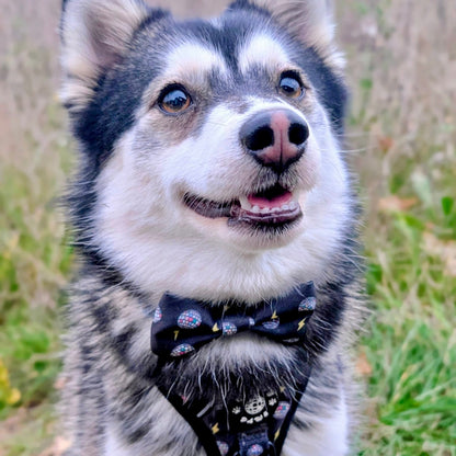 Bow Tie - Pawstruck