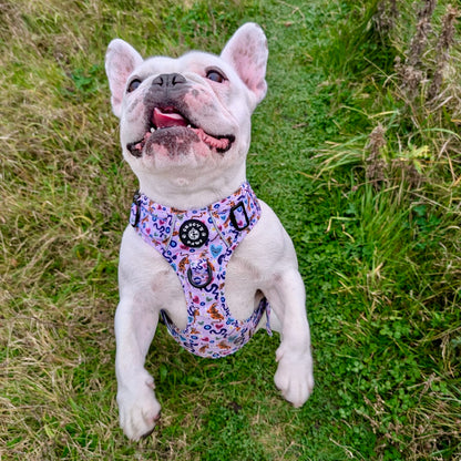 Grip & Groove Harness - Jungle Boogie