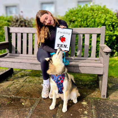 Grip & Groove Harness - Tails of Yin & Yang