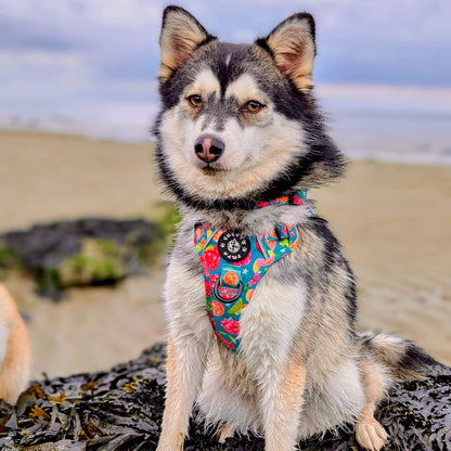 Grip & Groove Harness - Funkin' Fruit