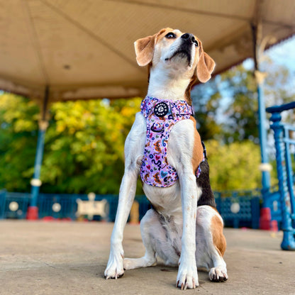 Grip & Groove Harness - Jungle Boogie