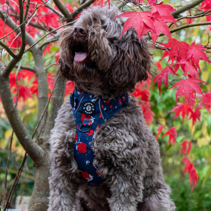 Grip & Groove Harness - Tails of Yin & Yang