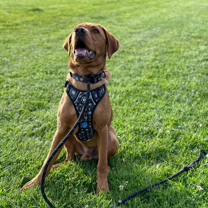 Grip & Groove Harness - Paw-Struck