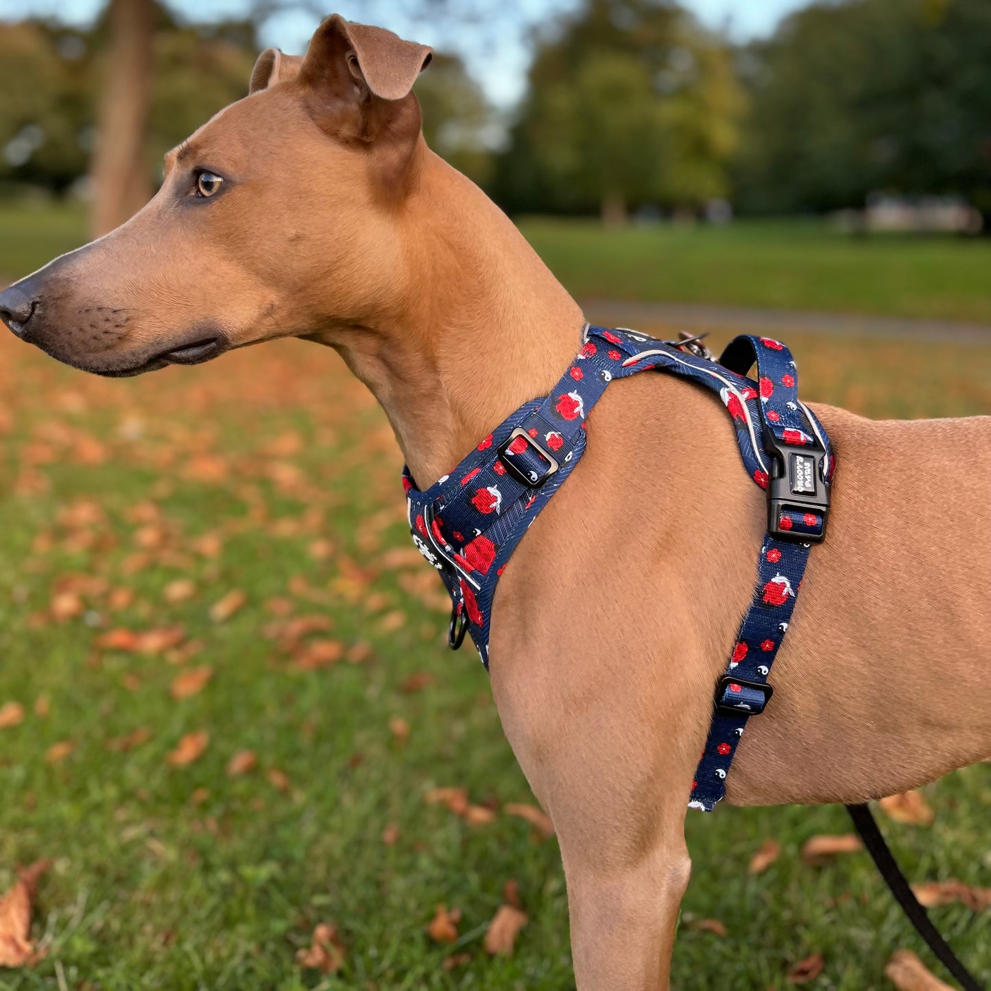 Grip & Groove Harness - Tails of Yin & Yang