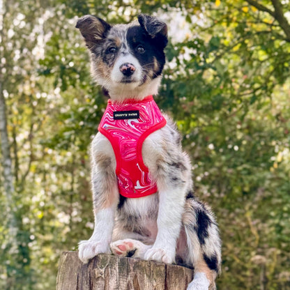 Reversible Harness - Psychedelic Pooch