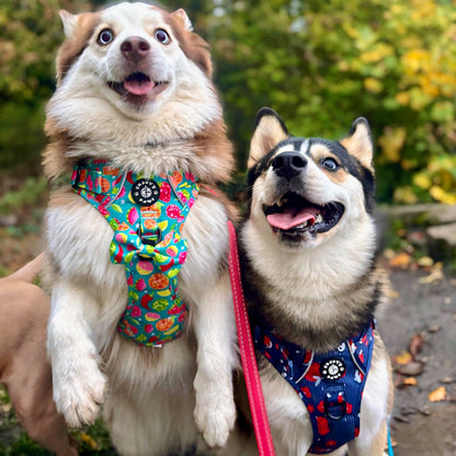 Bow Tie - Funkin' Fruit