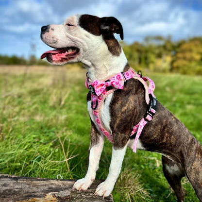 Bow Tie - Peace, Love & Disco