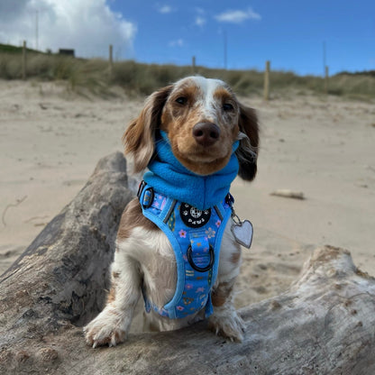 Grip & Groove Harness - Surf's Pup