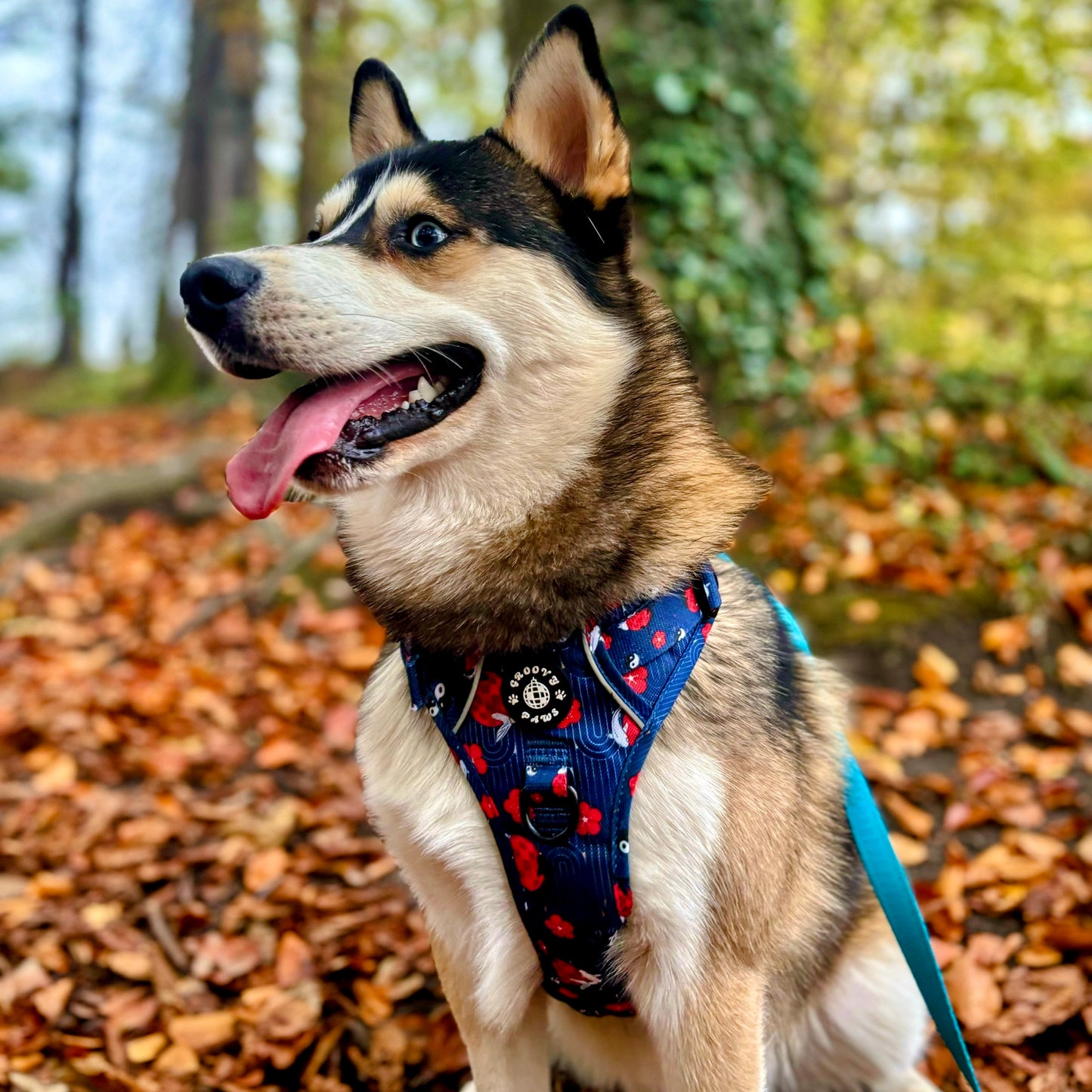 Grip & Groove Harness - Tails of Yin & Yang