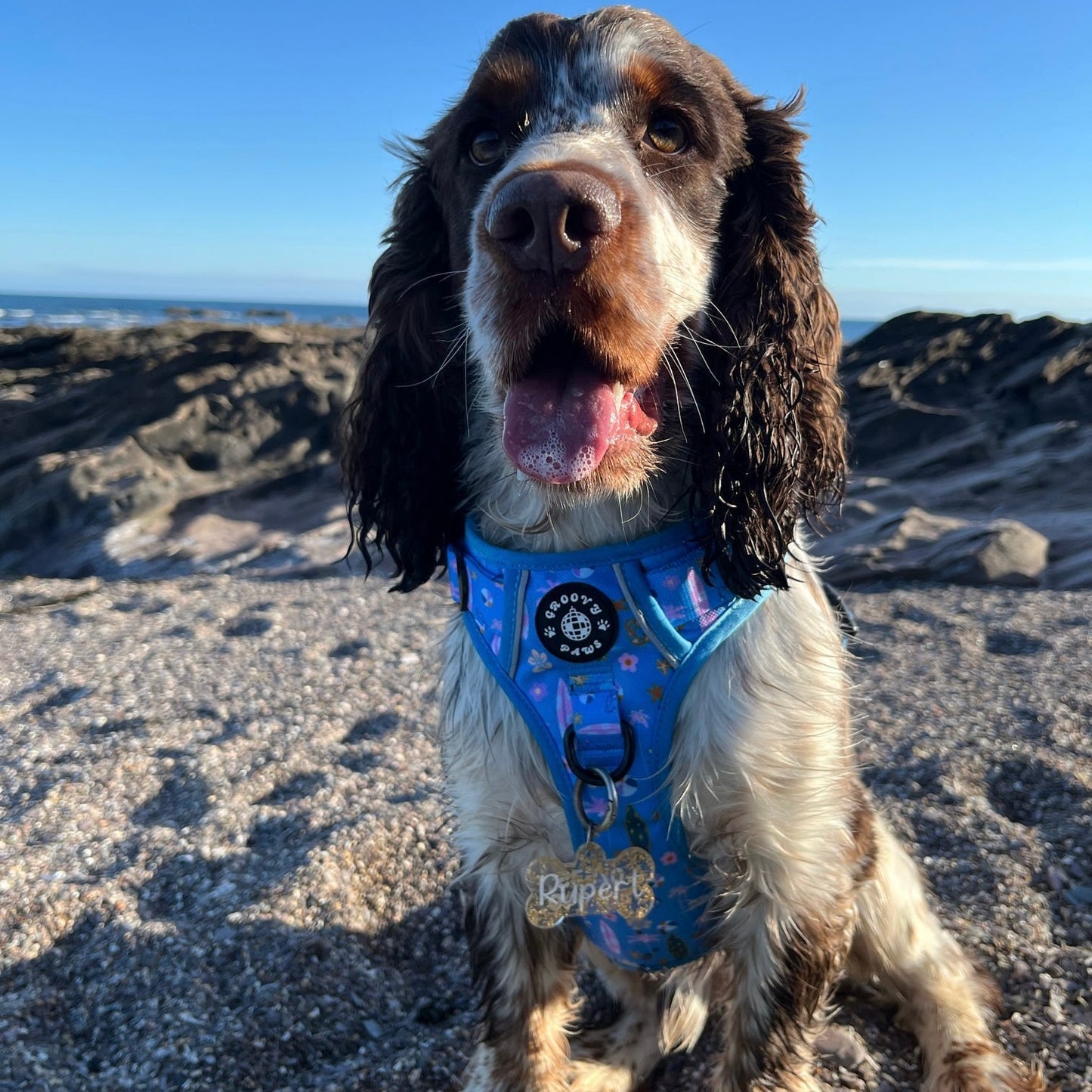 Grip & Groove Harness - Surf's Pup