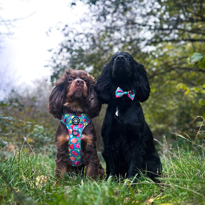 Grip & Groove Harness - Funkin' Fruit