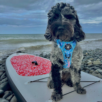 Grip & Groove Harness - Surf's Pup