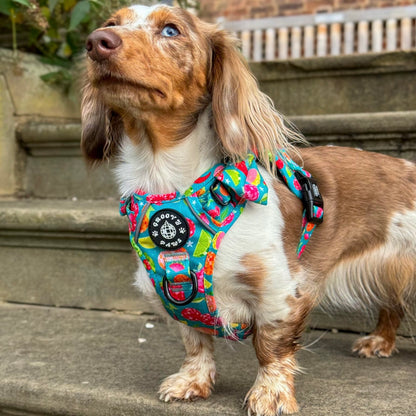 Grip & Groove Harness - Funkin' Fruit