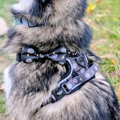 Bow Tie - Pawstruck
