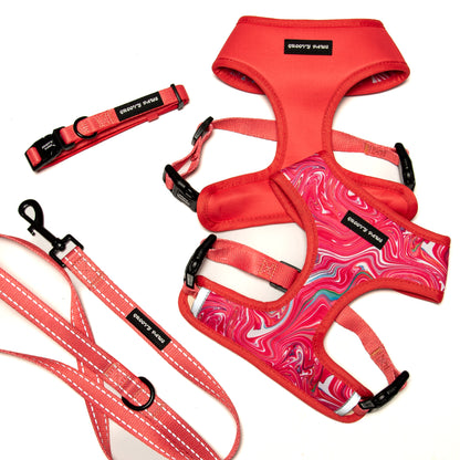 Reversible Harness - Psychedelic Pooch