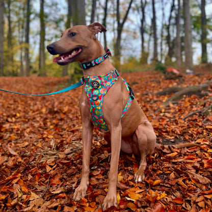 Grip & Groove Harness - Funkin' Fruit