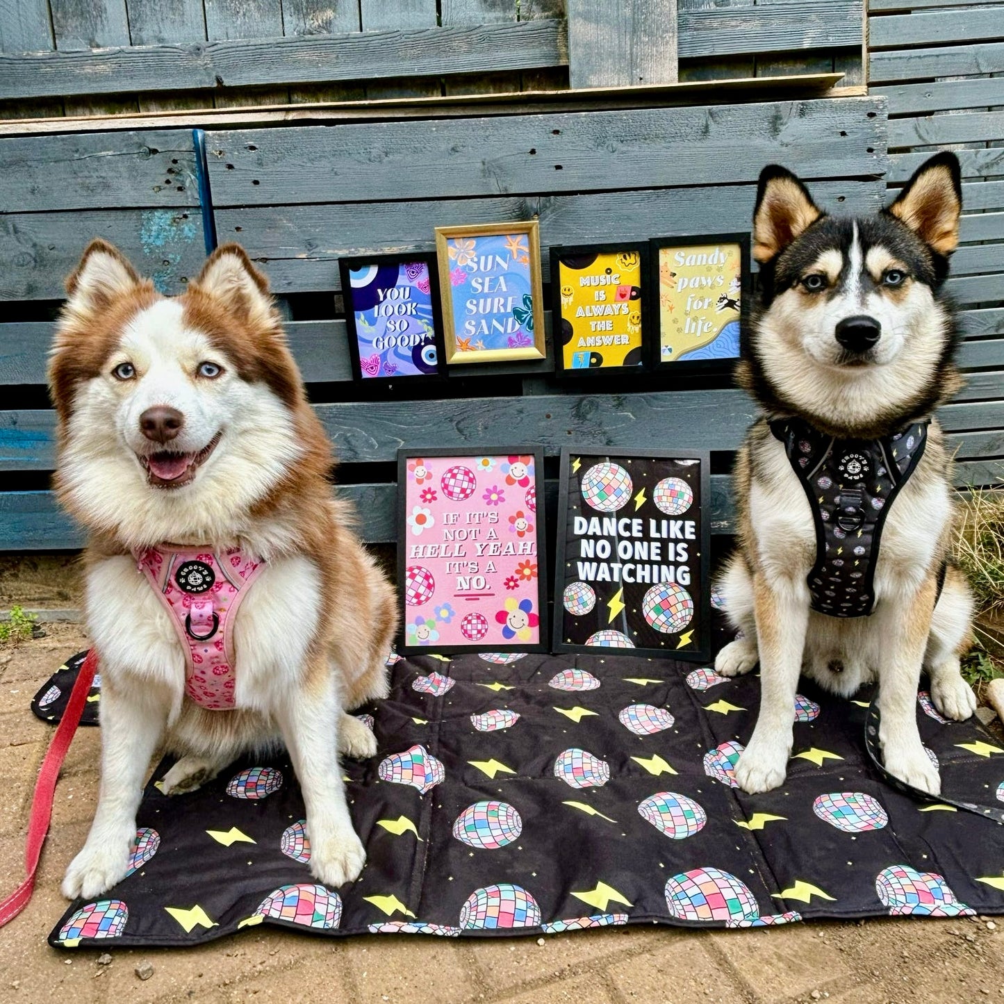 If It's Not a Hell Yeah, It's a No (Disco) - Wall Art Print