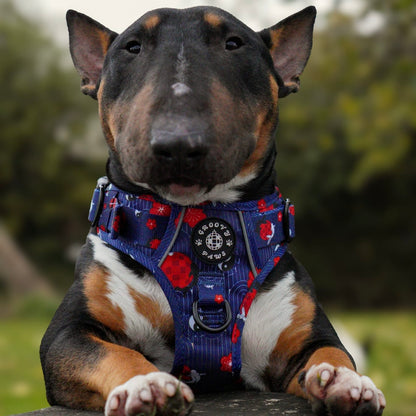 Grip & Groove Harness - Tails of Yin & Yang