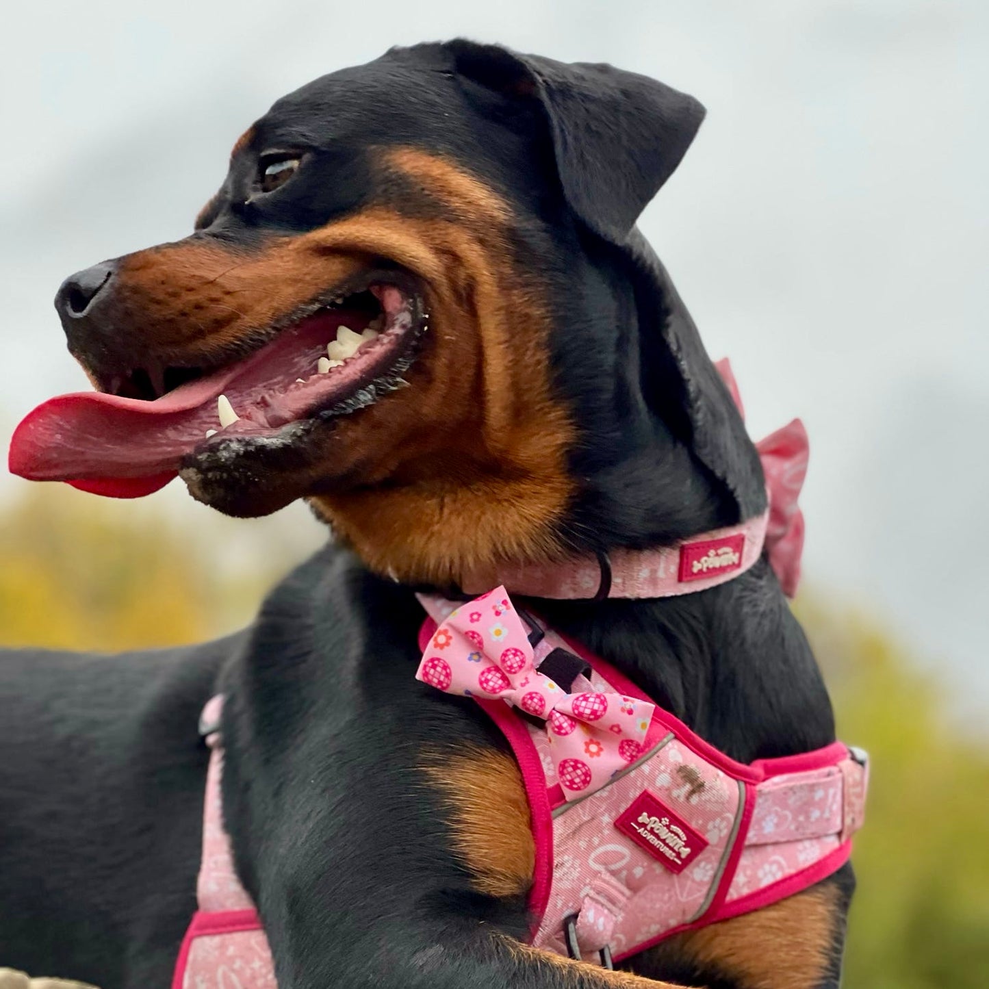 Bow Tie - Peace, Love & Disco