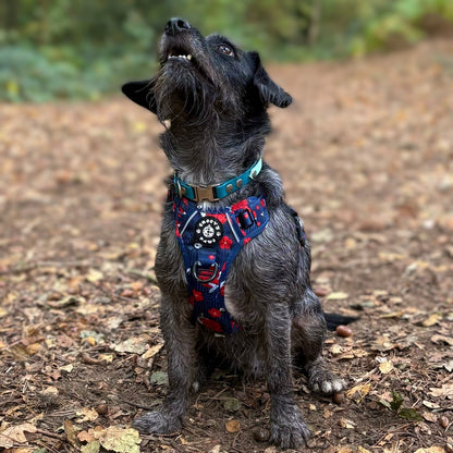 Grip & Groove Harness - Tails of Yin & Yang